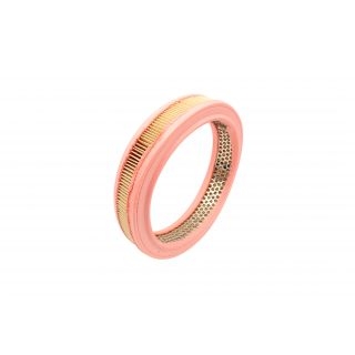 Filtro Aire Fiat Regatta C/mot. T