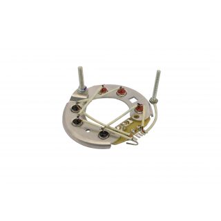 Placa Portadiodos Completa M Benz C/salida W Indiel Grande