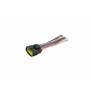 FICHA 12 VIAS FAROL Para SCANIA SERIE 5